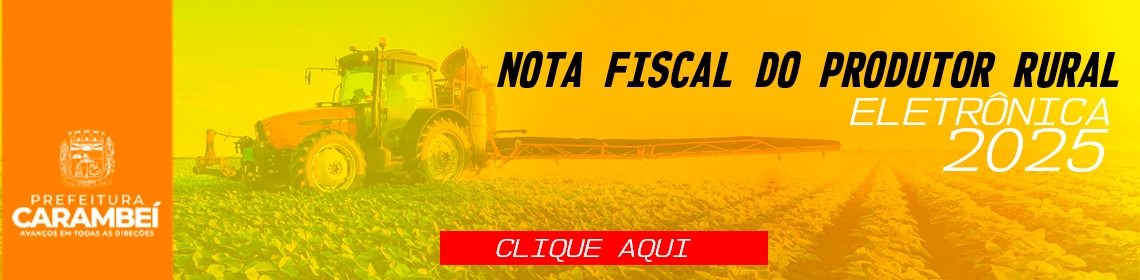 banner nfe 2025